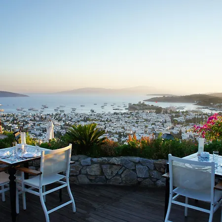 ザ マルマラ - アダルト オンリー ホテル